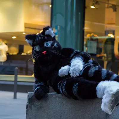 img-87.jpg of cons/Fursuitwalk-Frankfurt-2013/