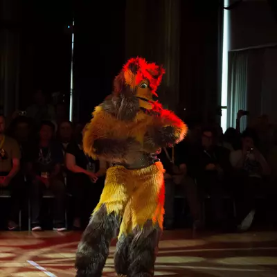 3B9C0160.jpg of cons/Eurofurence-20/