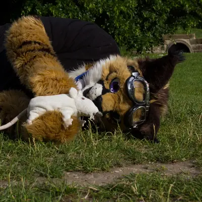 sw-137.jpg of dslr/random/