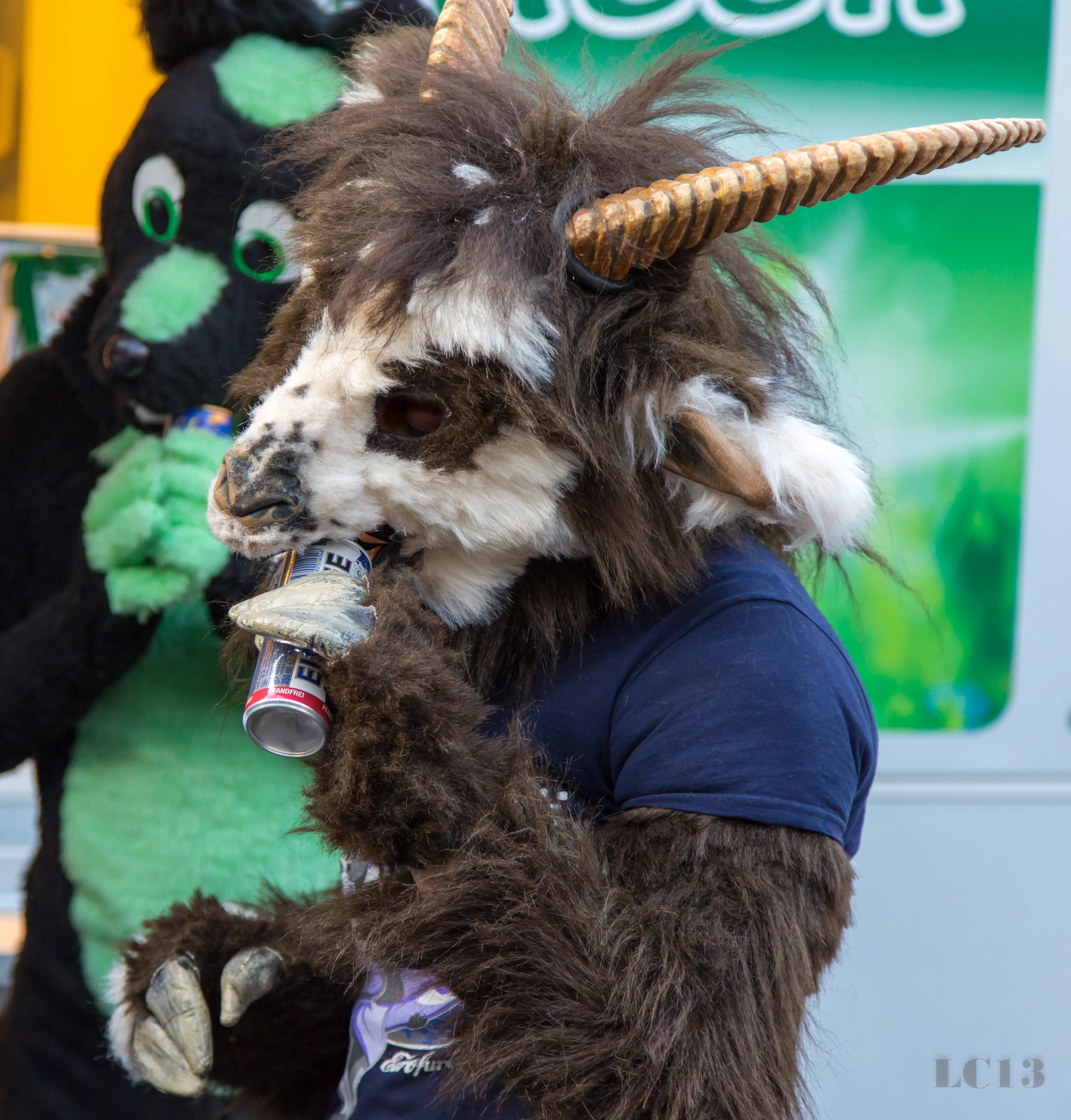 full image img-23.jpg