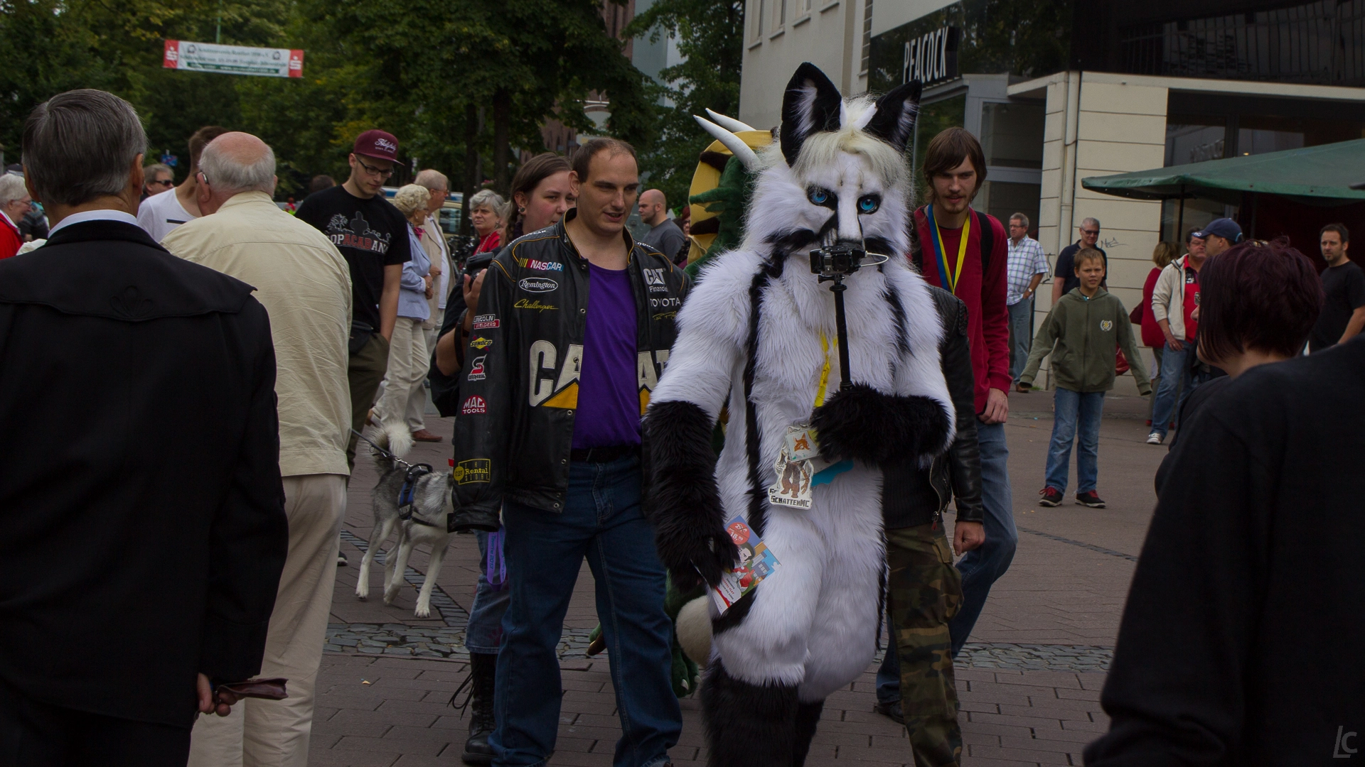 full image img-12.jpg