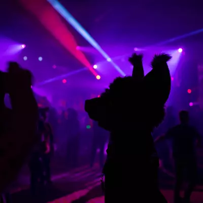 3B9C9901.jpg of cons/MFF-2018/