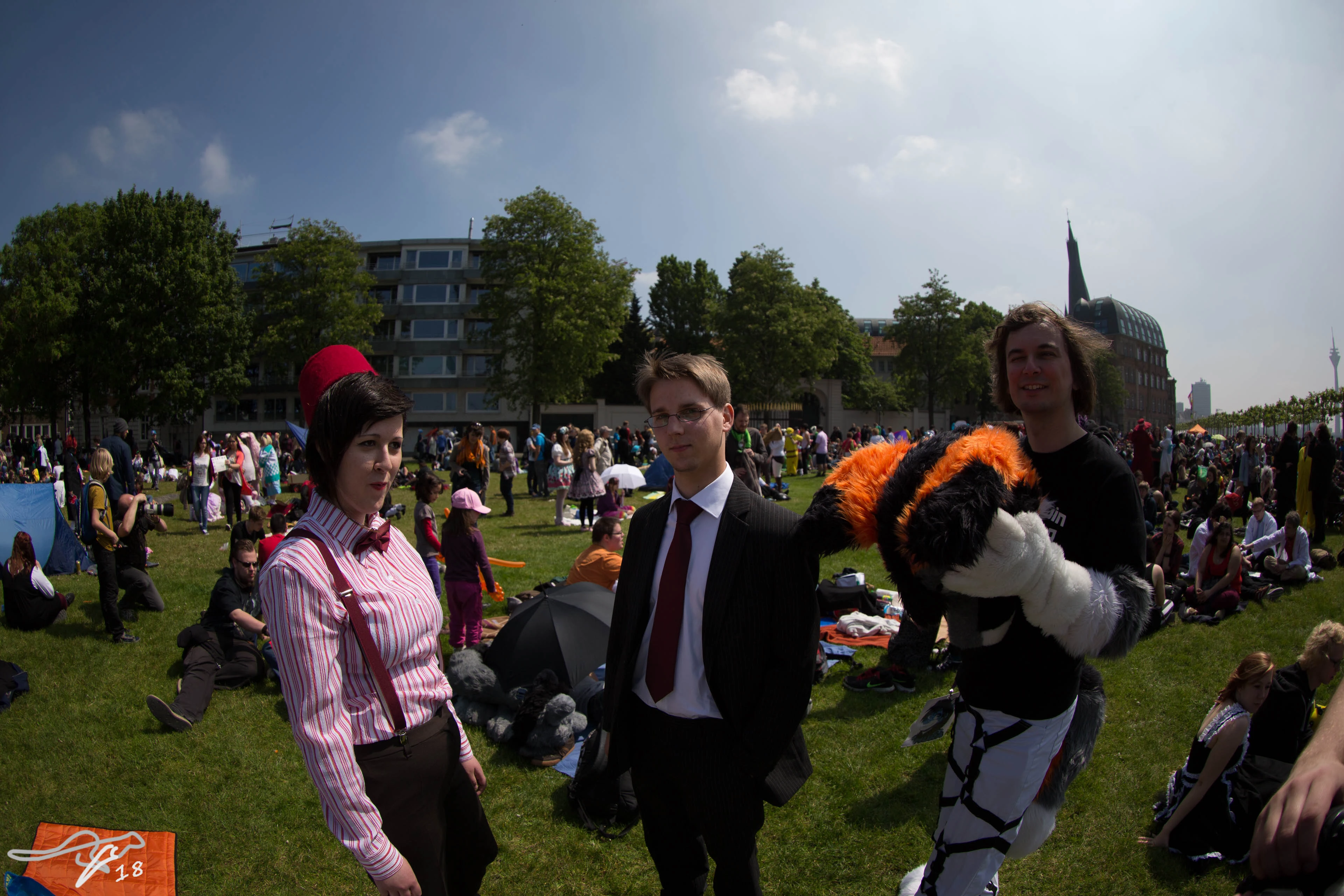 full image IMG_8017.jpg