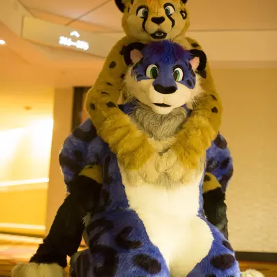 3B9C9690.jpg of cons/MFF-2018/