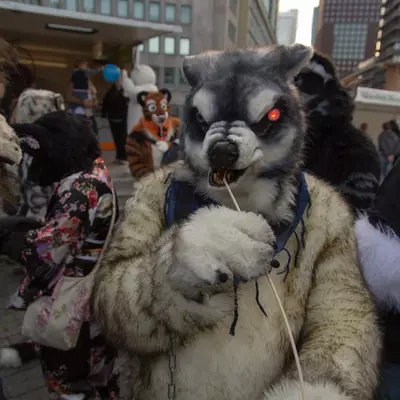 img-29.jpg of cons/Fursuitwalk-Frankfurt-2013/