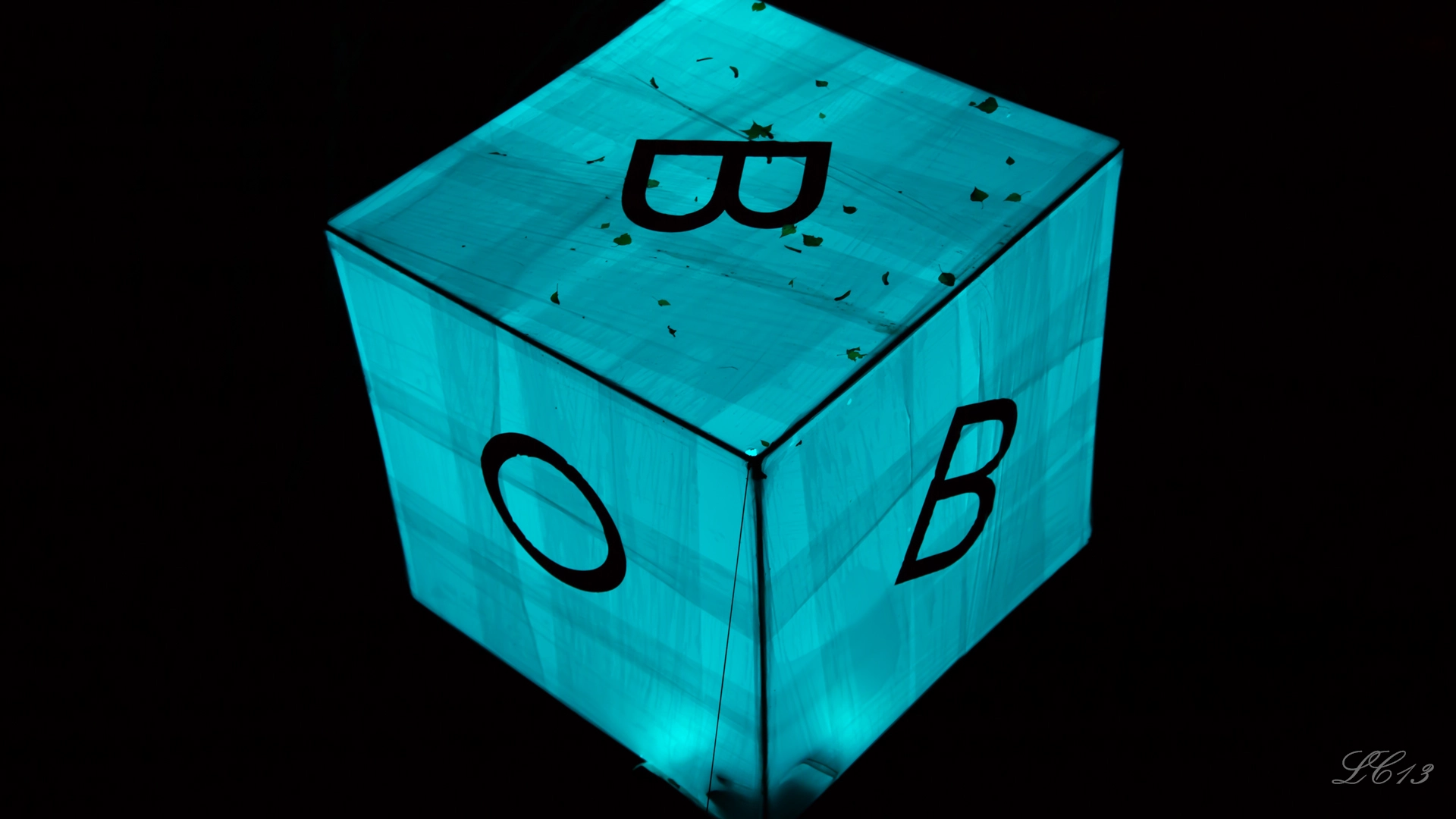full image hl-12.jpg
