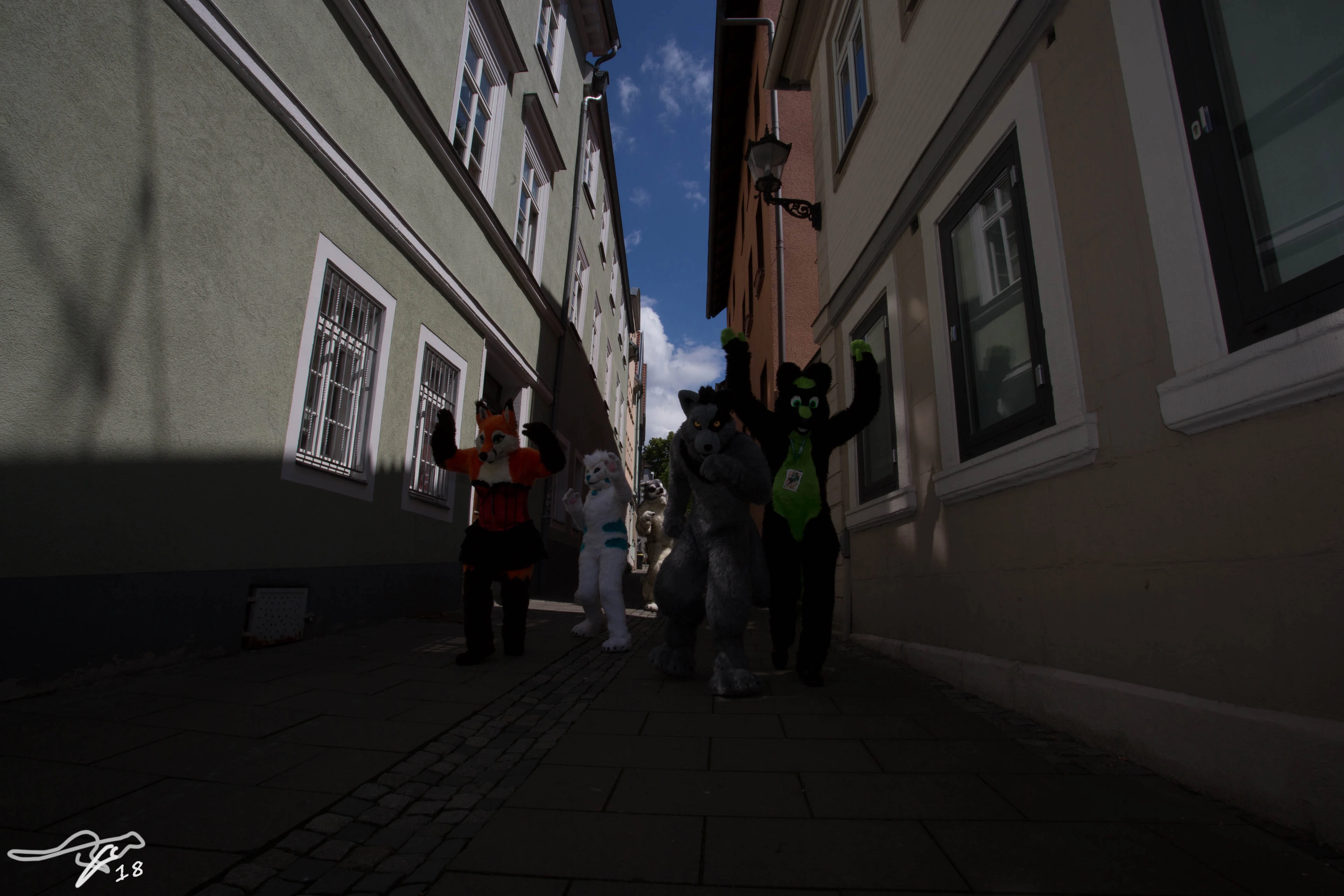 full image IMG_8640.jpg