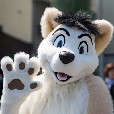 3B9C6459.jpg of cons/Fursuit-Bungeejumping-2016/