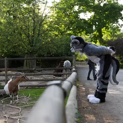 3B9C1158.jpg of cons/Zoo-Krefeld-2015/