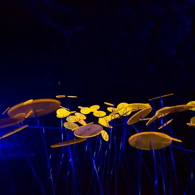 hl-9.jpg of dslr/2014 Herbstleuchten/