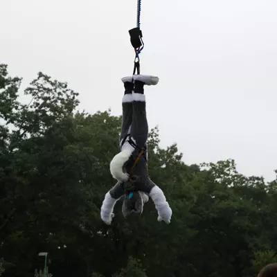 3B9C9181.jpg of cons/Fursuit-Bungeejumping-2014/
