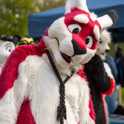 3B9C6234.jpg of cons/Fursuit-Bungeejumping-2016/