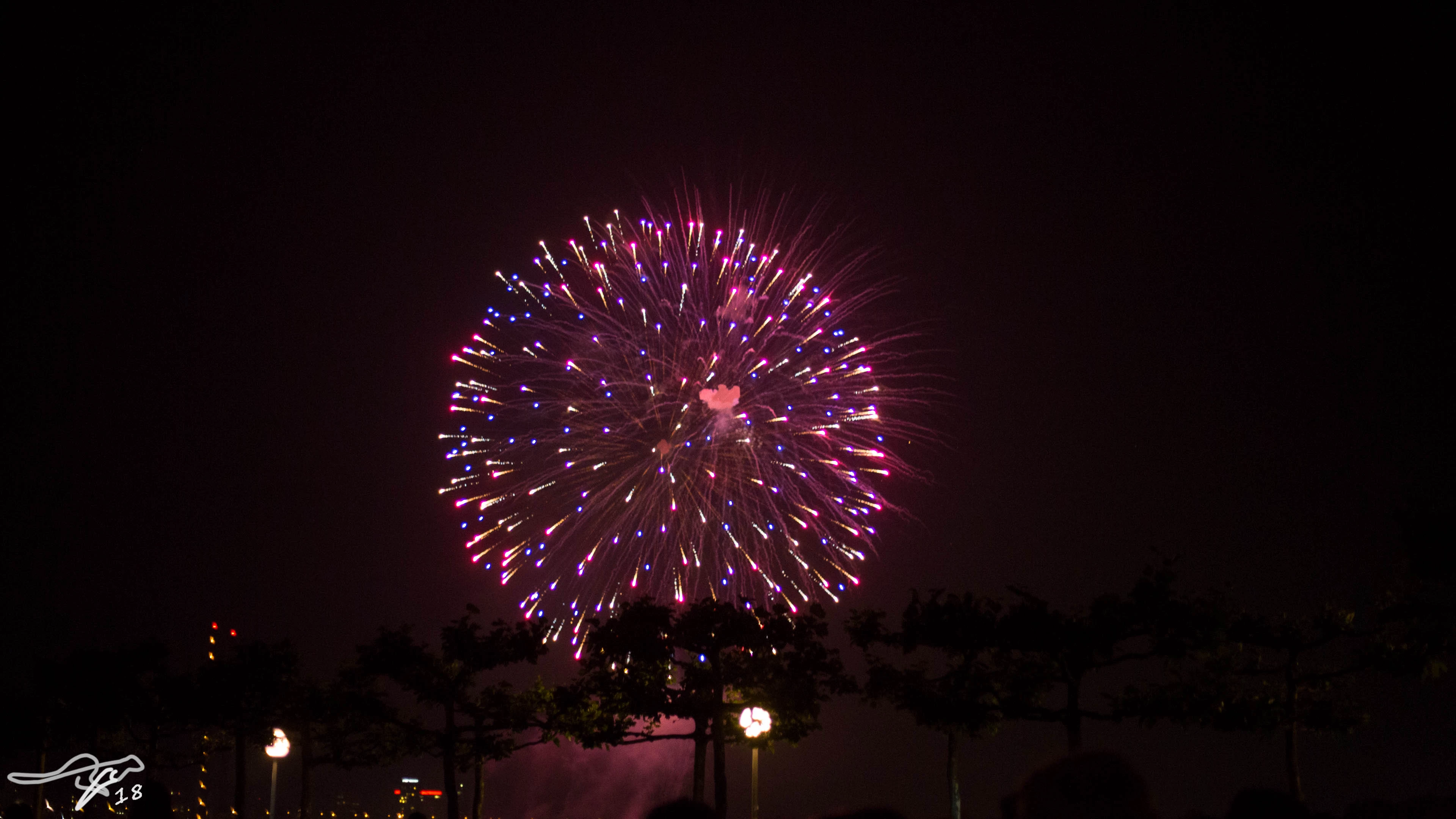 full image IMG_8382.jpg