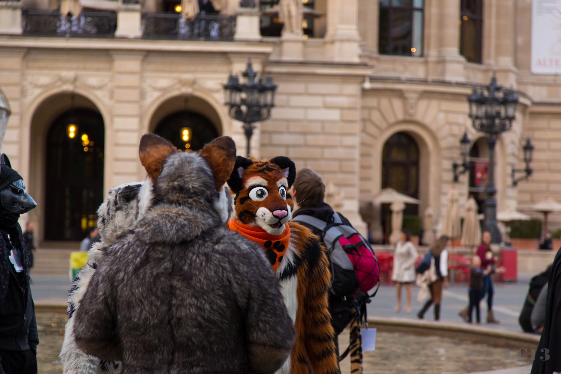 full image img-71.jpg