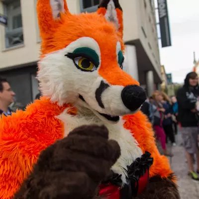 img-8.jpg of cons/Fursuitwalk-Frankfurt-2013/