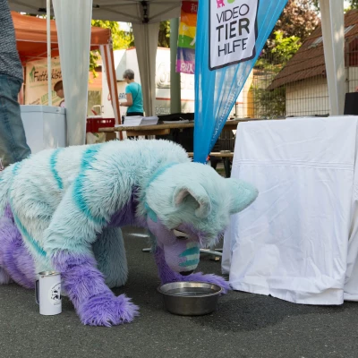 3B9C2660.jpg of cons/Animal-Rescue-2015/
