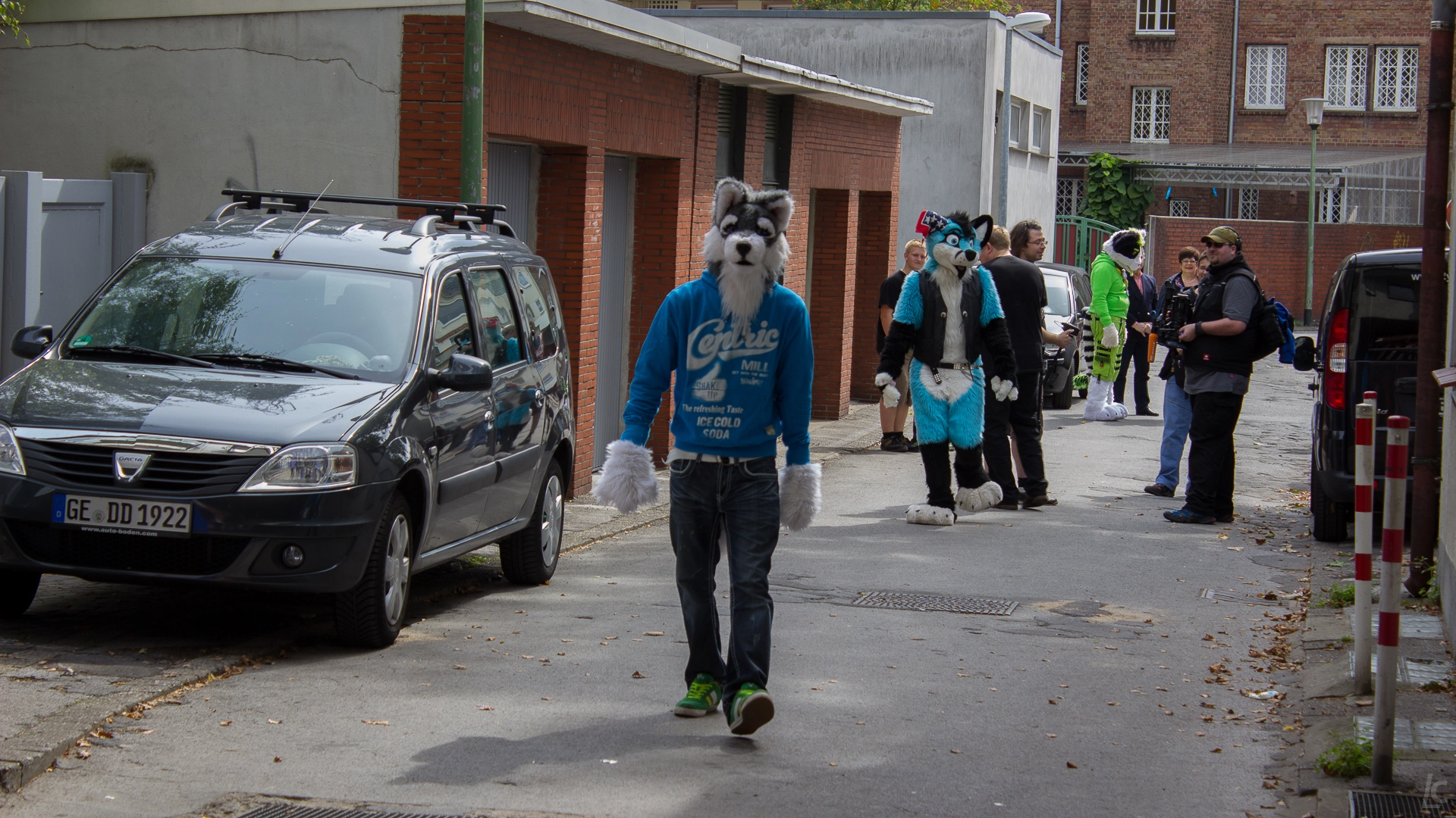 full image img-16.jpg